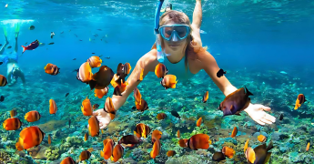 Snorkeling Experience